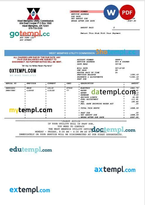 perfect fit pay stub template in Word and PDF format