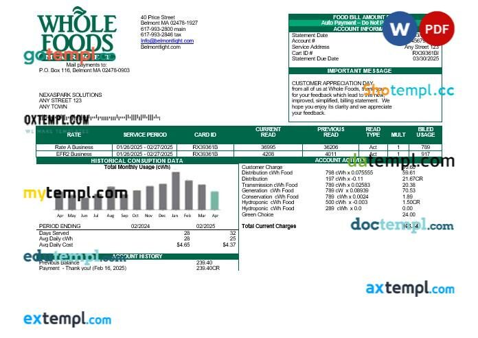 perfect fit pay stub template in Word and PDF format