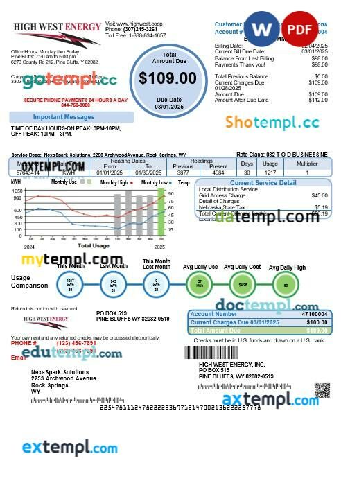perfect fit pay stub template in Word and PDF format