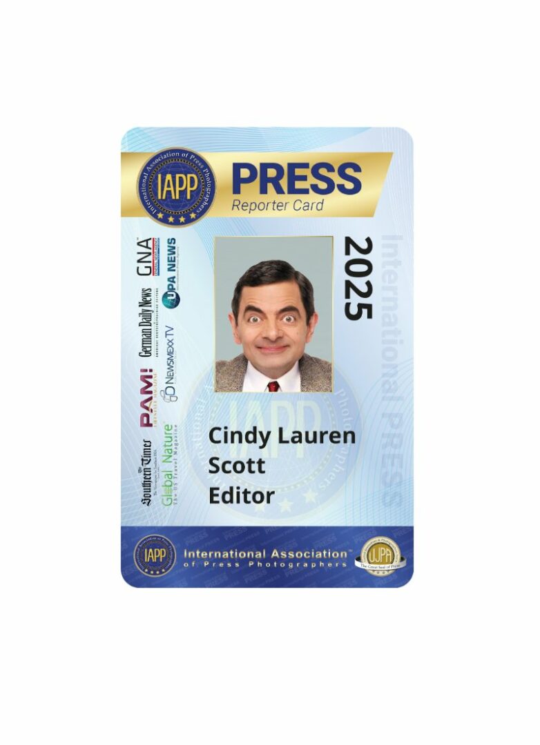 Press reporter card template in PSD format Press reporter card template in PSD format