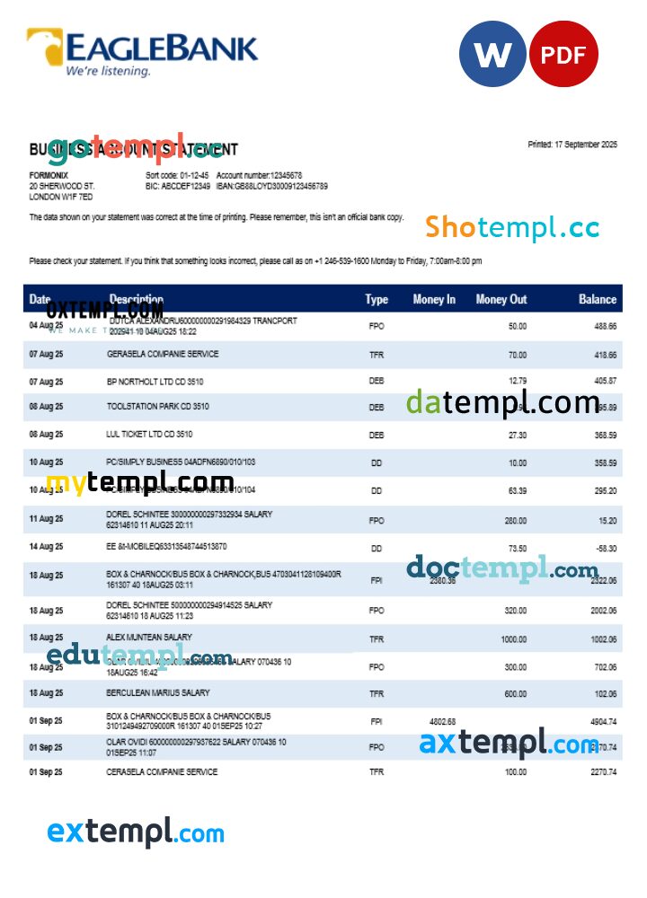 Eagle company checking account statement Word and PDF template Eagle company checking account statement Word and PDF template