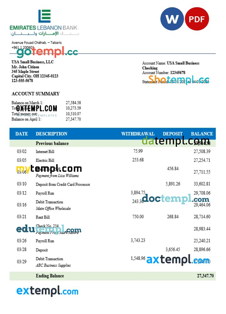 Emirates Lebanese organization checking account statement Word and PDF template Emirates Lebanese organization checking account statement Word and PDF template