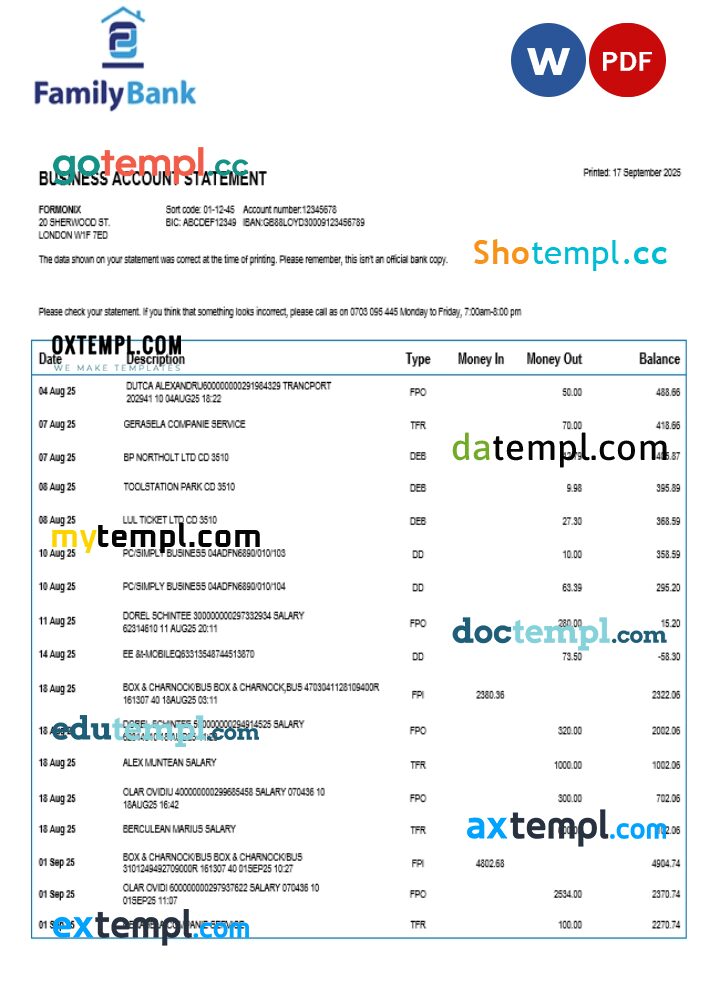 Family company checking account statement Word and PDF template Family company checking account statement Word and PDF template