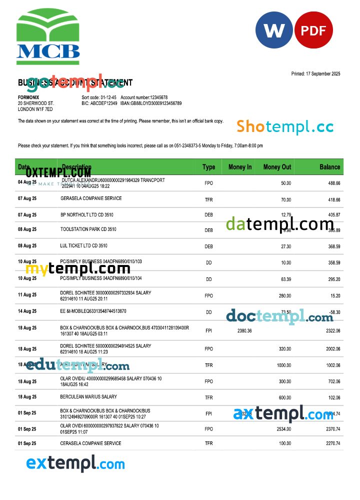 Pakistan MCB business checking account statement Word and PDF template Pakistan MCB business checking account statement Word and PDF template