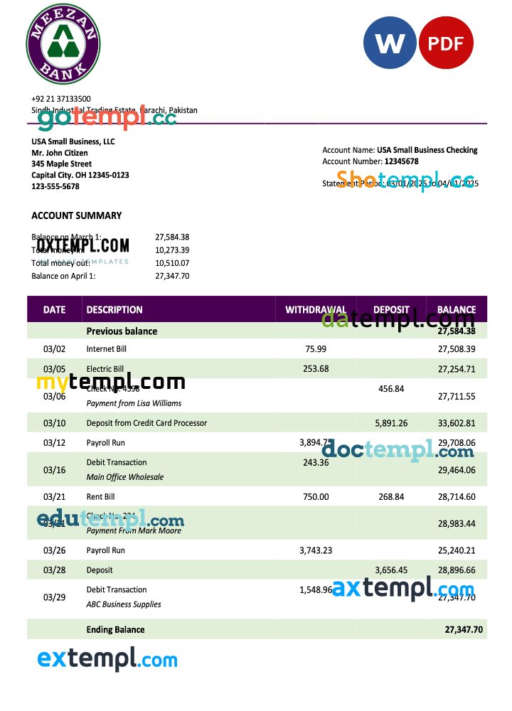 Pakistan Meezan Bank organization statement Word and PDF template Pakistan Meezan Bank organization statement Word and PDF template