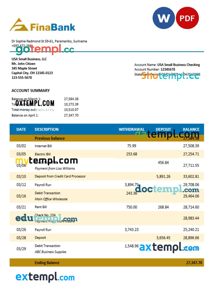Suriname Finabank enterprise statement Word and PDF template Suriname Finabank enterprise statement Word and PDF template