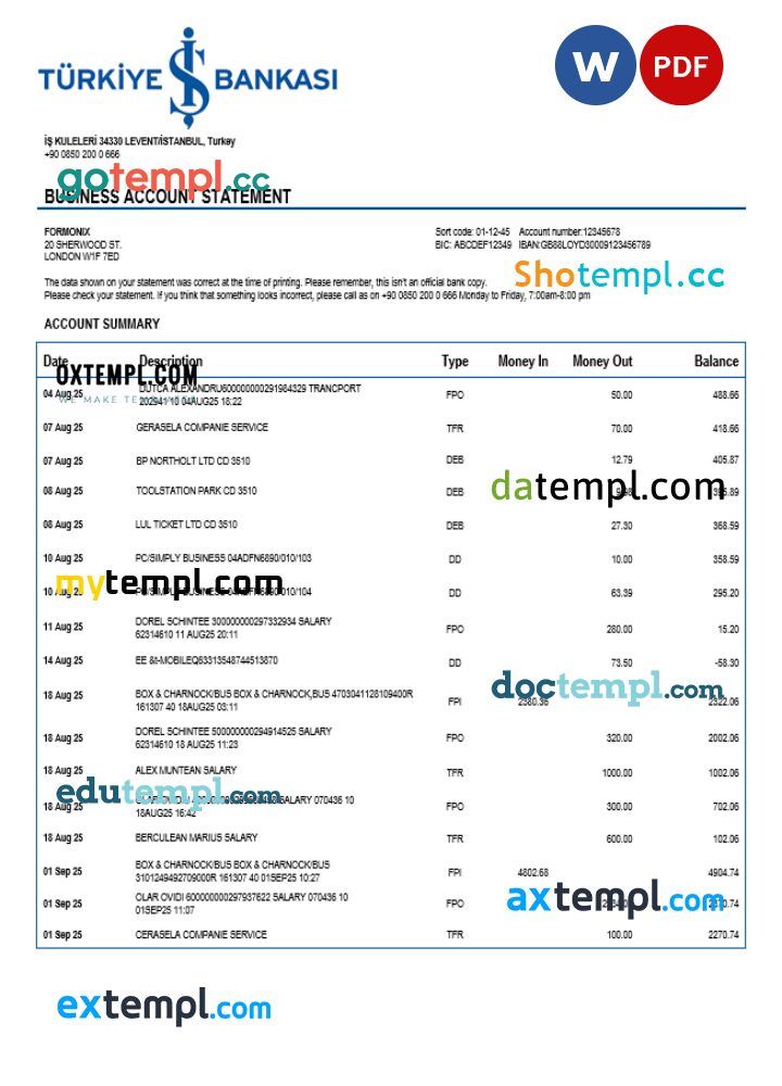 Turkish Bankasi enterprise statement Word and PDF template Turkish Bankasi enterprise statement Word and PDF template