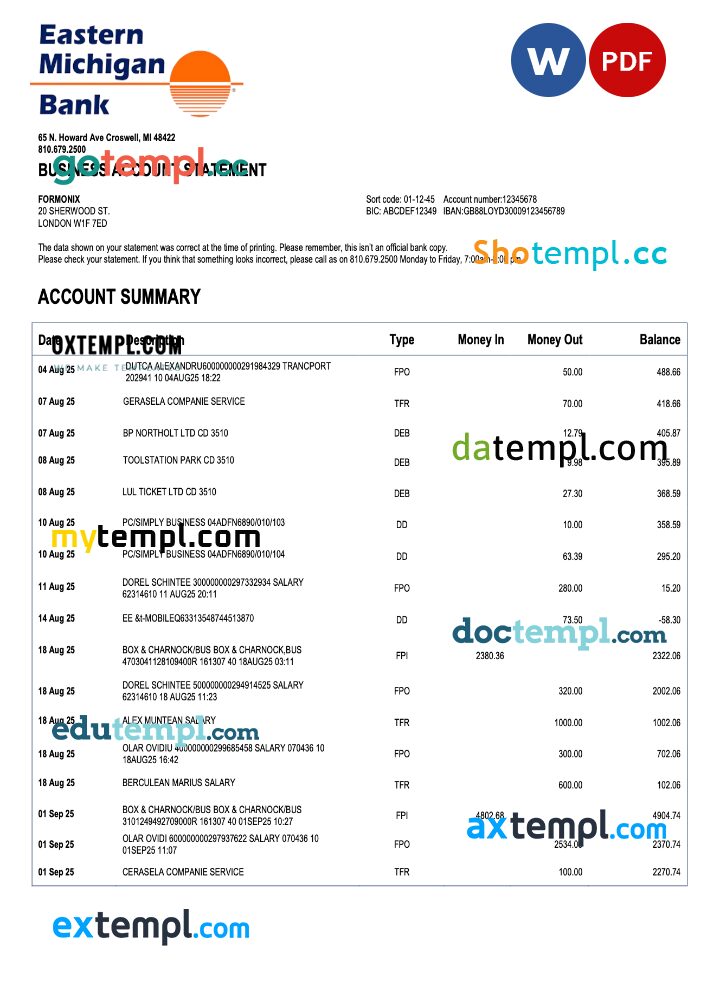 US Eastern Michigan organization checking account statement Word and PDF template US Eastern Michigan organization checking account statement Word and PDF template
