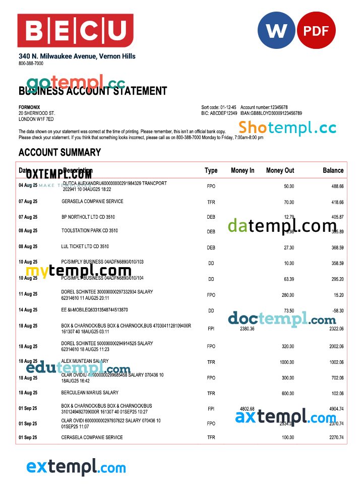 USA BECU organization statement Word and PDF template USA BECU organization statement Word and PDF template