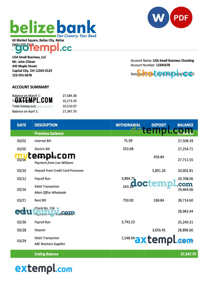 USA Belize Bank organization account statement Word and PDF template USA Belize Bank organization account statement Word and PDF template