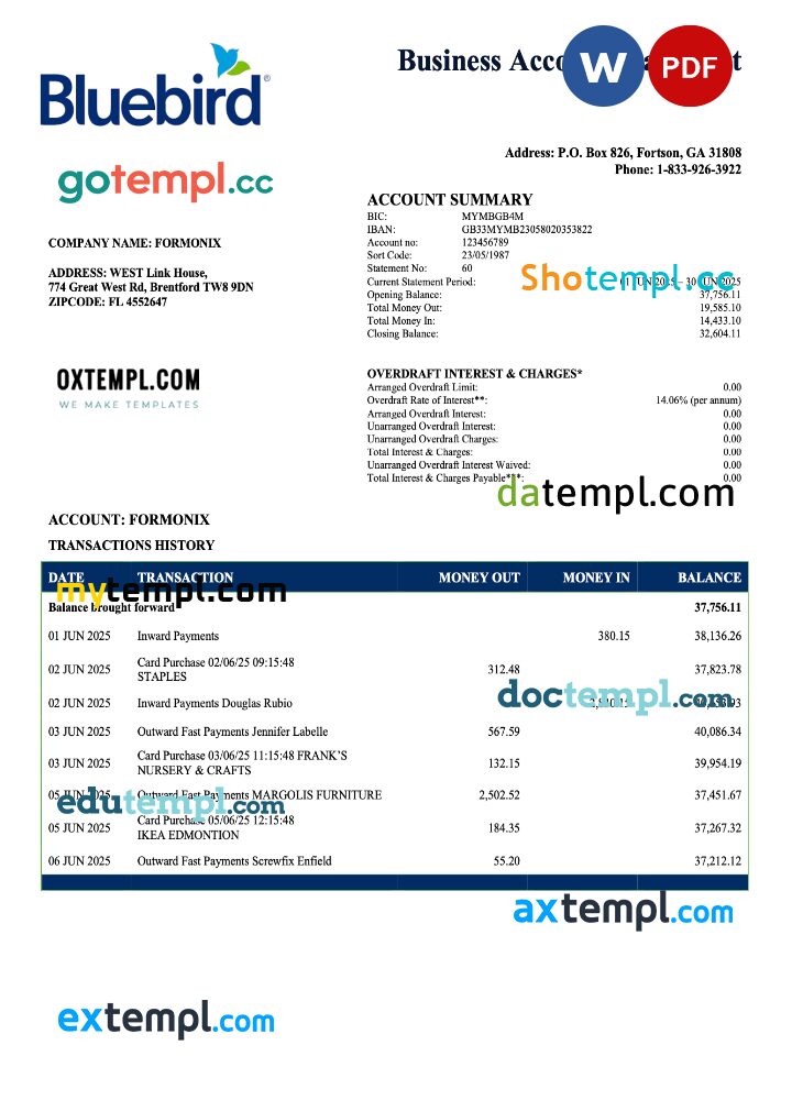 USA Bluebird firm account statement Word and PDF template USA Bluebird firm account statement Word and PDF template