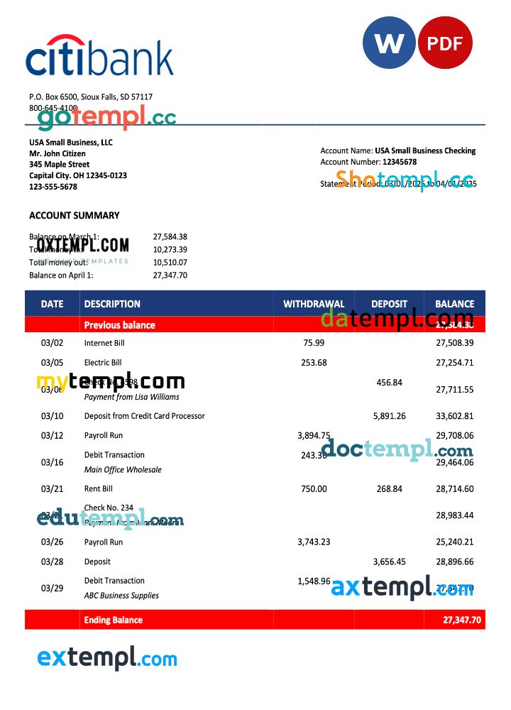 USA Citibank organization statement Word and PDF template USA Citibank organization statement Word and PDF template