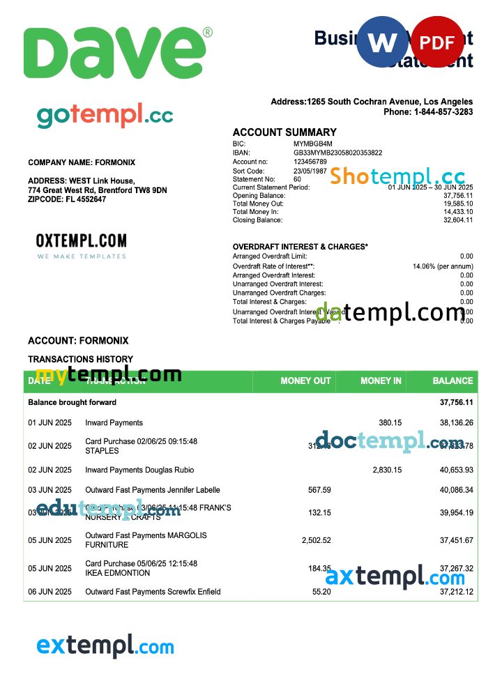 USA Dave firm checking account statement Word and PDF template USA Dave firm checking account statement Word and PDF template