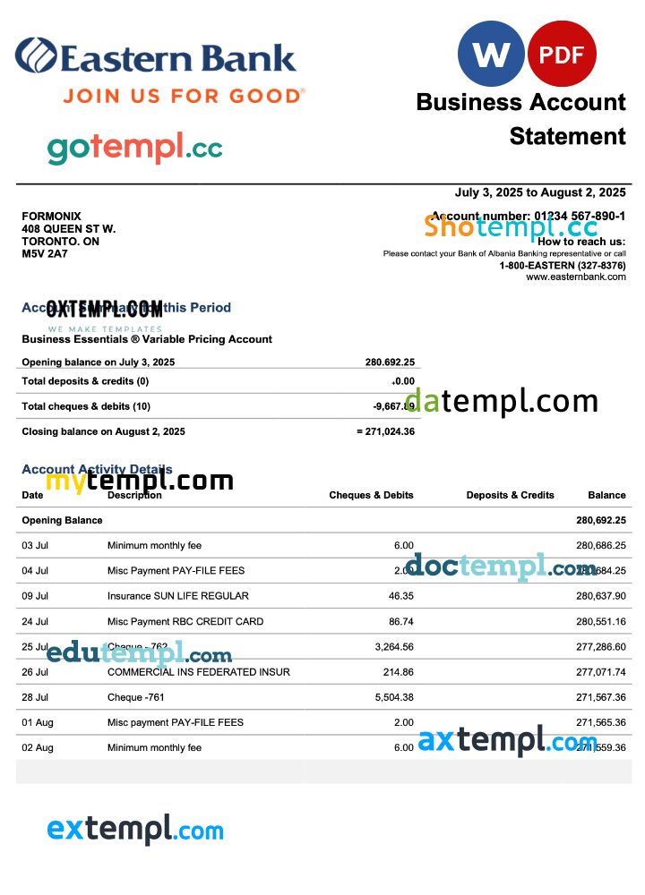 USA Eastern company checking account statement Word and PDF template USA Eastern company checking account statement Word and PDF template