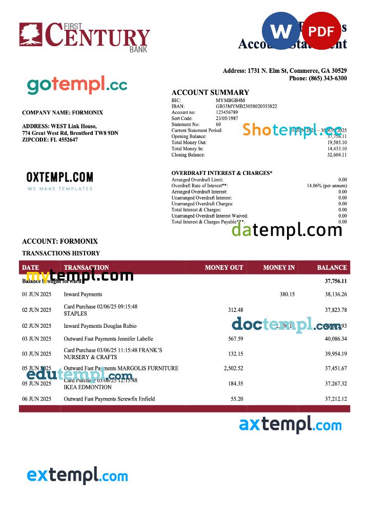 USA First Century enterprise account statement Word and PDF template USA First Century enterprise account statement Word and PDF template
