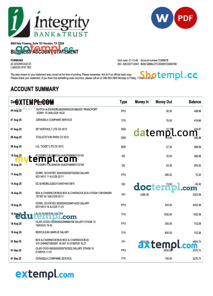 USA Integrity firm account statement Word and PDF template USA Integrity firm account statement Word and PDF template