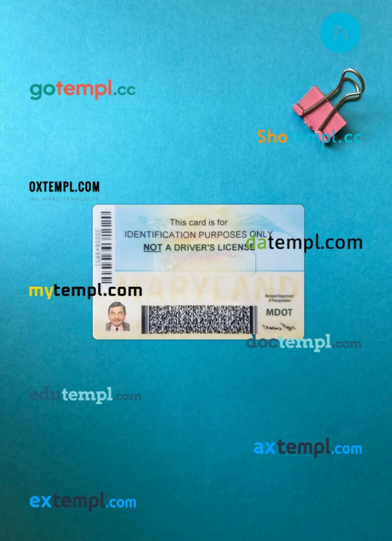 USA Maryland ID card editable PSD files, scan look and photo-realistic look, 2 in 1 USA Maryland ID card editable PSD files, scan look and photo-realistic look, 2 in 1 - Image 2