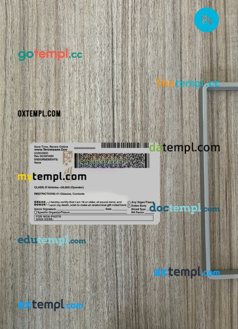 USA Tennessee driving license PSD files, scan look and photographed image, 2 in 1, 2024-present USA Tennessee driving license PSD files, scan look and photographed image, 2 in 1, 2024-present - Image 2