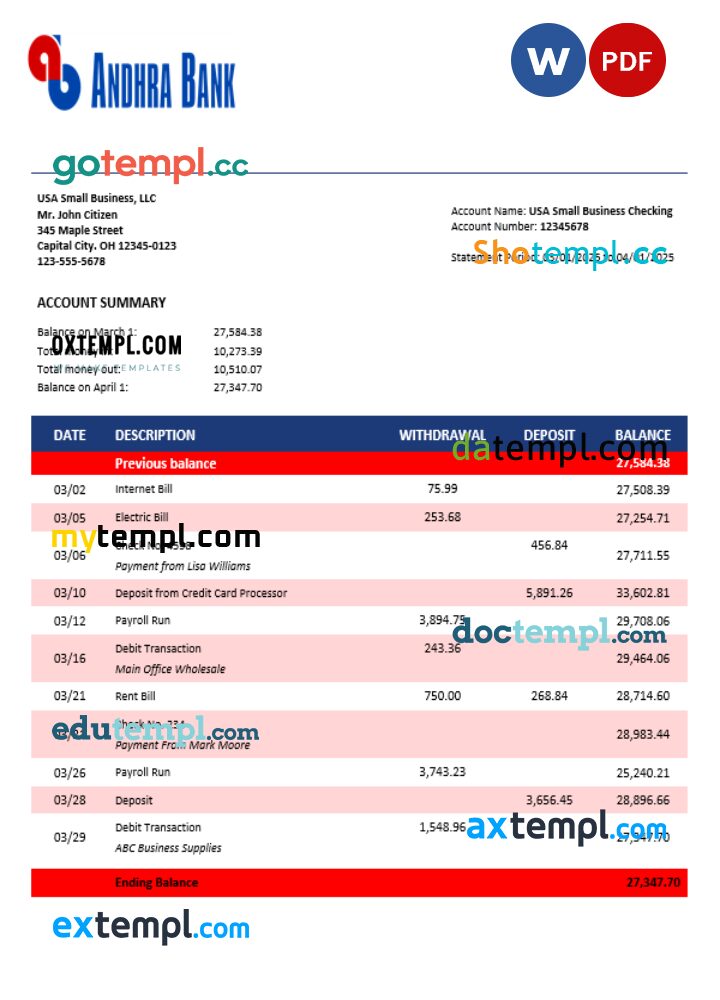 Andhra business bank statement Word and PDF format Andhra business bank statement Word and PDF format