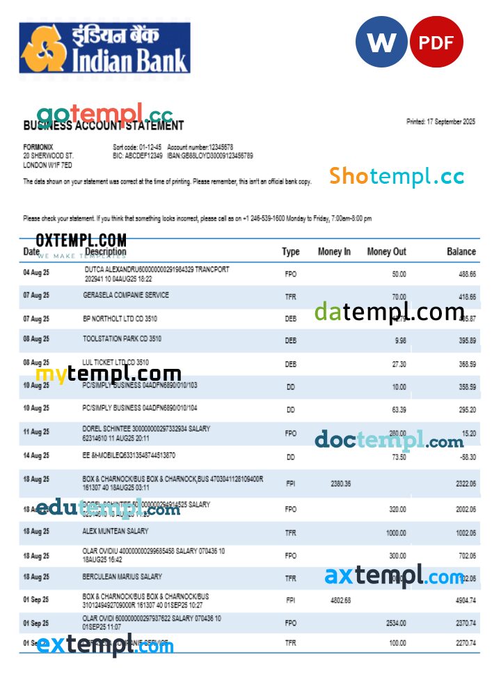Bank of Indian organization checking account statement Word and PDF template
