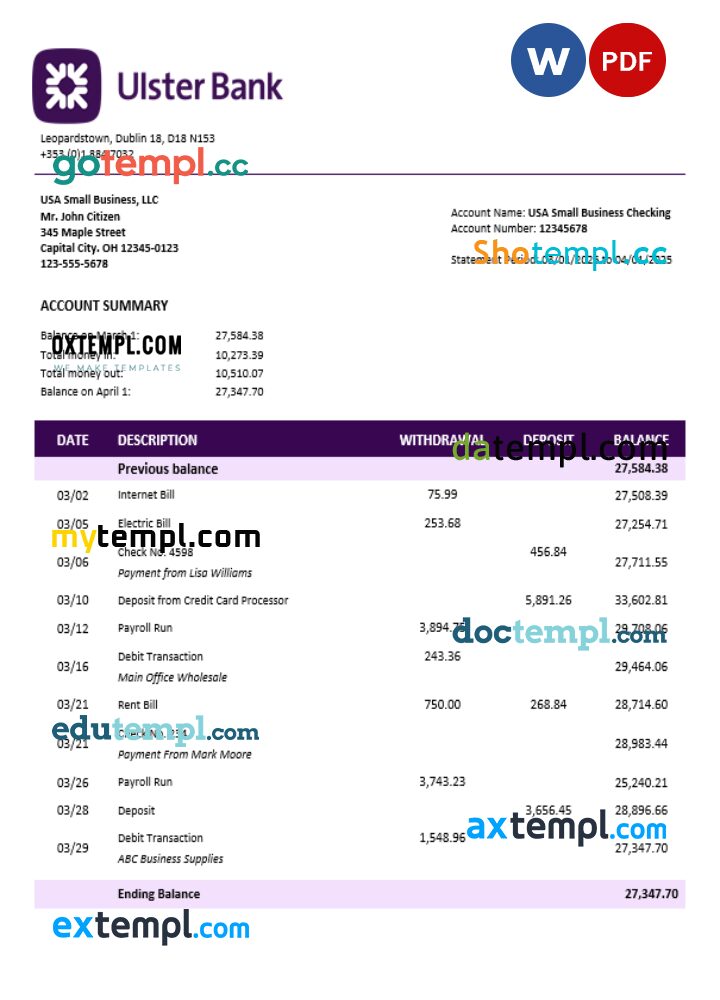 Ulster organization checking account statement Word and PDF format