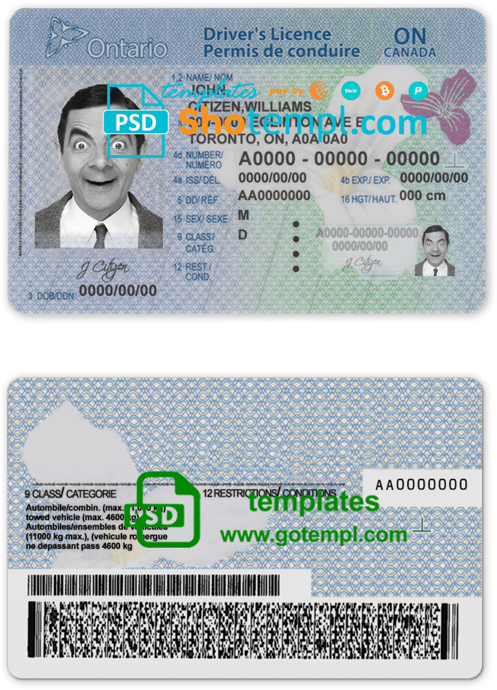 Canadian Ontario driver license download example in PSD format (2018 - present)