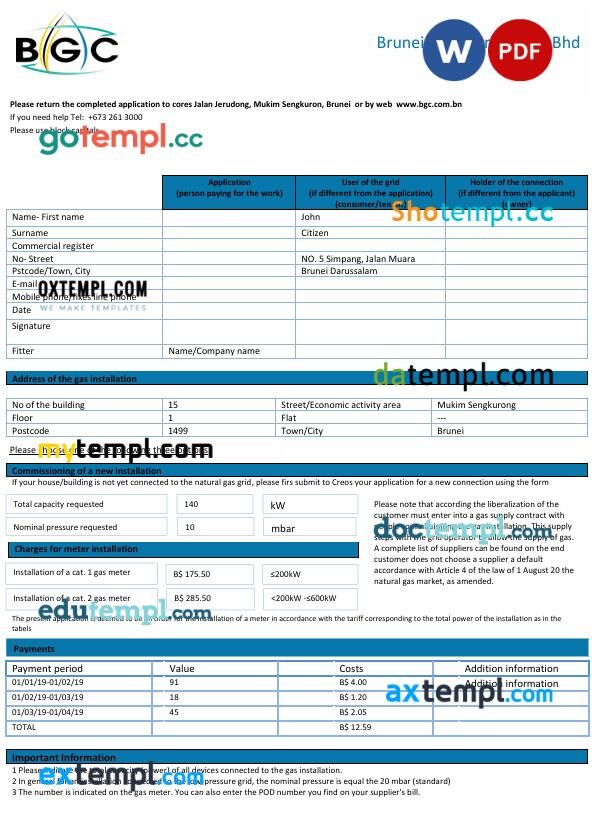 Brunei Gas Carriers Sdn Bhd Natural gas utility bill in Word and PDF format