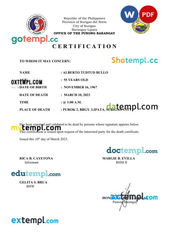 Philippines Office of the Punong Barangay birth certificate in Word and PDF format Philippines Office of the Punong Barangay birth certificate in Word and PDF format