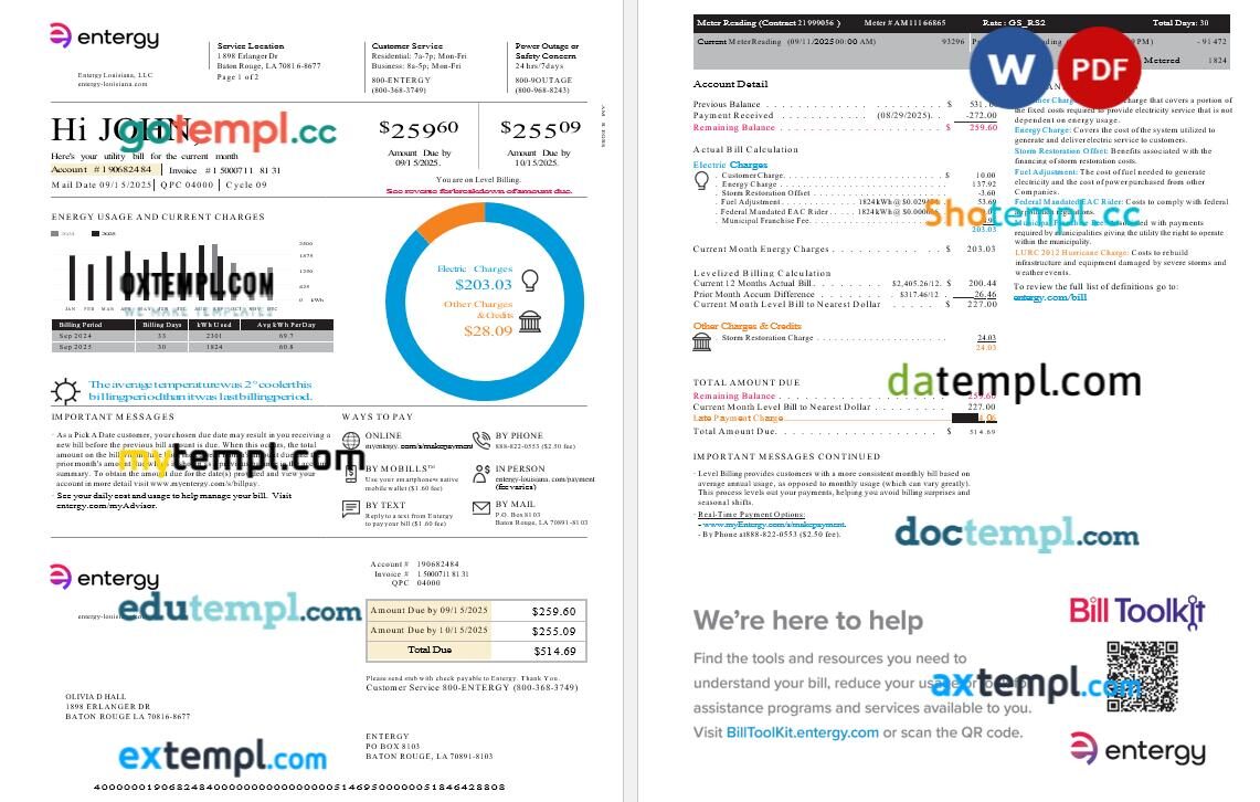 USA Entergy Louisiana, LLC electric utility bill in Word and PDF format